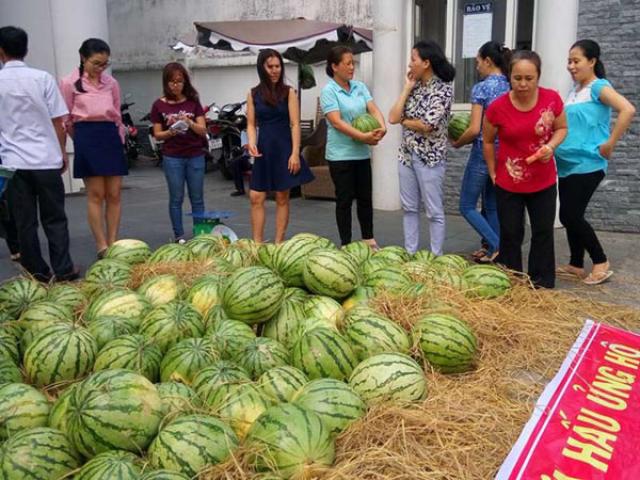 Thị trường - Tiêu dùng - Sau ‘giải cứu’ nông sản: Cần giải pháp tận gốc