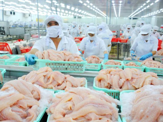 Thị trường - Tiêu dùng - Lo cá tra "sập bẫy" như heo