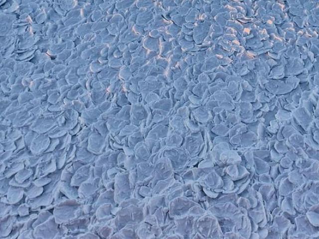 Phi thường - kỳ quặc - Phát hiện băng "vẩy rồng" cực hiếm và lạ ở Nam Cực