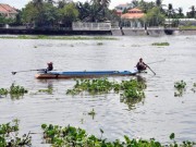 Tin TP Hồ Chí Minh - Cá phóng sinh lễ Phật Đản chưa kịp bơi đã bị chích điện