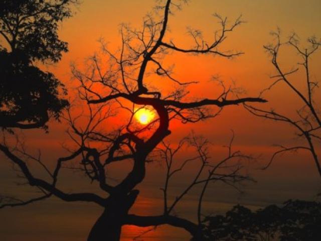 Du lịch - Sơn Trà đẹp ngỡ ngàng trong khoảnh khắc giao mùa