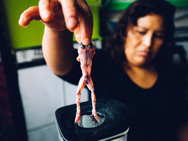 Ẩm thực - Kinh hoàng sinh tố ếch tươi giúp quý ông mãnh liệt trong "chuyện ấy"