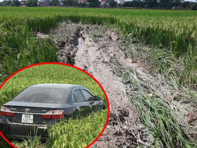 Tin tức trong ngày - Nóng 12h qua: Tài xế xe Camry khai nguyên nhân tông 3 HS tử vong