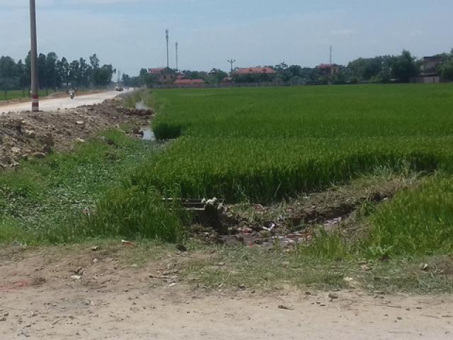 Tin tức trong ngày - Xe Camry tông chết 3 học sinh: Giấc mơ dang dở của cậu học trò nghèo