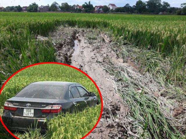 Tin tức trong ngày - Tin mới vụ lái xe Camry tông chết 3 học sinh ở Bắc Ninh