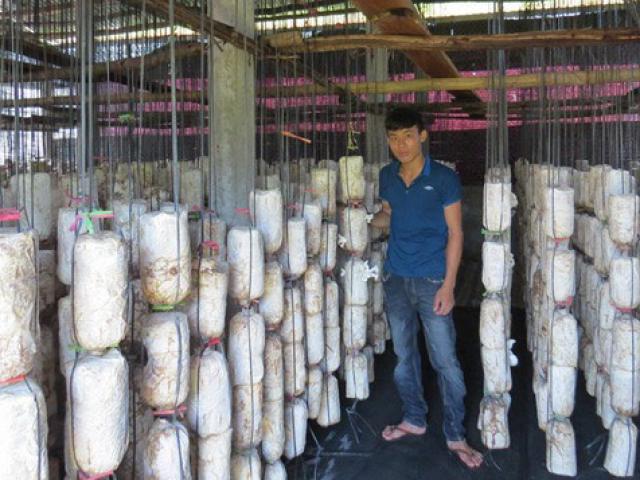 Thị trường - Tiêu dùng - Lạ: Chàng trai 9X trồng nấm sạch ở "xó núi" mà dân phố ai cũng biết