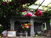 Tin tức trong ngày - Ông lão &quot;soái ca&quot; dựng cả khu vườn tình yêu bên mộ vợ