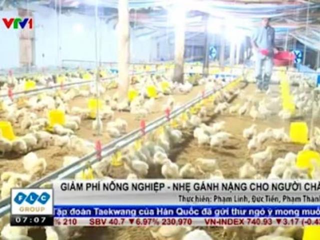 Thị trường - Tiêu dùng - Giảm phí nông nghiệp - Nhẹ gánh nặng cho người chăn nuôi