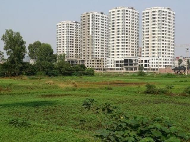 Tài chính - Bất động sản - Người có tiền không dại nhưng tại sao vẫn "sập bẫy" sốt đất?