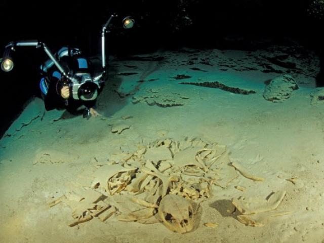 Du lịch - Tận thấy nghĩa địa rùa trong hang động bí ẩn dưới đáy biển