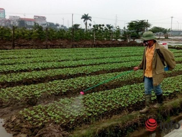 Thị trường - Tiêu dùng - Chi gần 9.000 tỷ đồng nhập thuốc trừ sâu trong 5 tháng