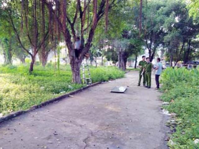 Tin tức trong ngày - Tá hỏa phát hiện xác người trên cây trong công viên