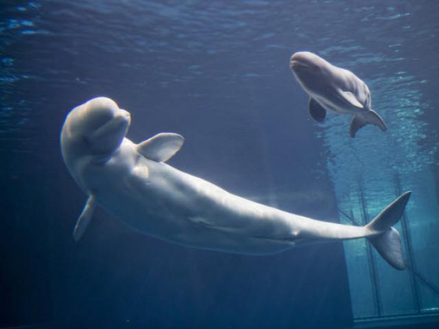 Du lịch - 15 địa điểm hấp dẫn nhất thế giới dành cho trẻ em