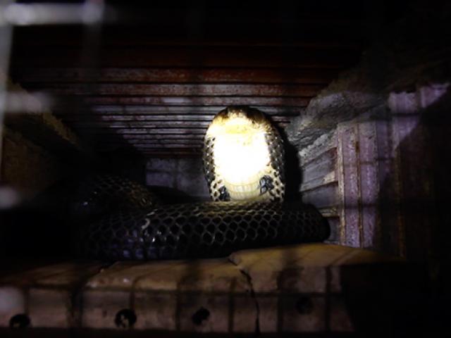 Tin tức trong ngày - Những câu chuyện đáng sợ ở ngôi làng sống chung với "tử thần”