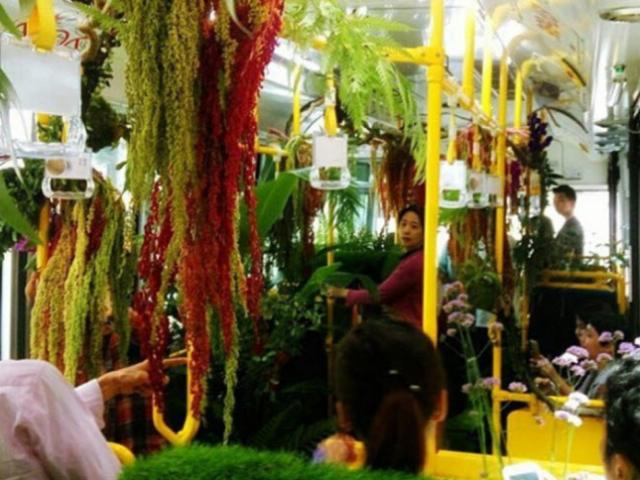 Du lịch - "Trốn nóng" trong xe bus “rừng” lạ lùng ở Đài Loan