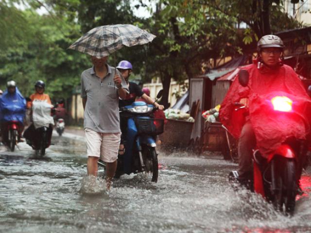 Tin tức trong ngày - Ảnh: Người Hà Nội sung sướng đi dưới "mưa vàng"