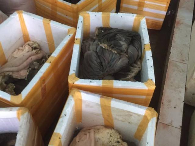 Thị trường - Tiêu dùng - Bắt quả tang cơ sở chế biến "chui" gần 900 kg nội tạng động vật bẩn