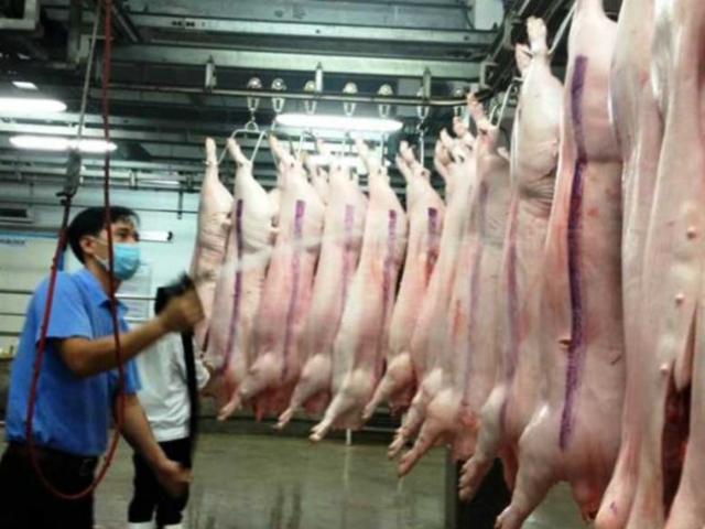 Thị trường - Tiêu dùng - Đã xuất khẩu hàng chục ngàn tấn thịt heo