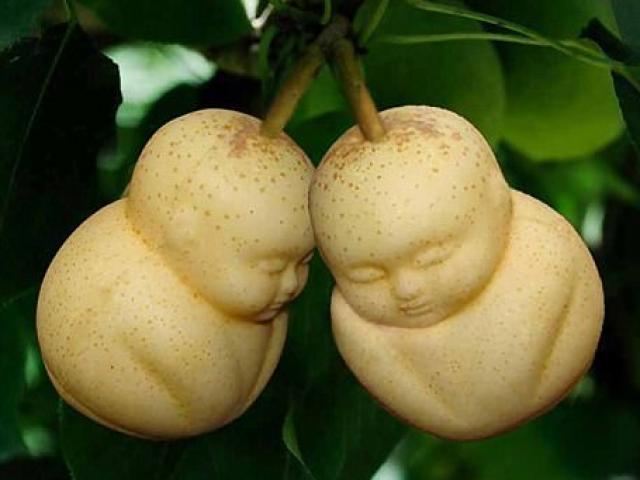 Ẩm thực - Ngỡ ngàng ngắm dưa lê hình đầu lâu,  dưa hấu trái tim