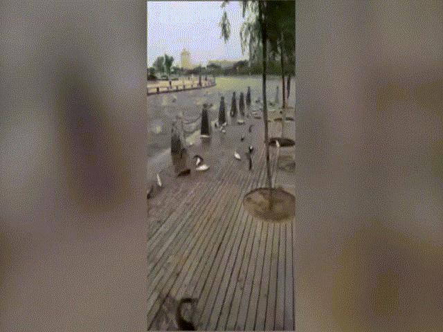 Thế giới - Video: Hàng trăm con cá bỗng nhiên nhảy lên bờ tự sát ở TQ