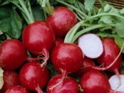Sức khỏe đời sống - Những lợi ích thần kỳ của củ cải đường