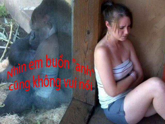Tranh vui - Anh em &quot;bế tắc&quot; khi xem hình &quot;kỳ quặc&quot; của chị em