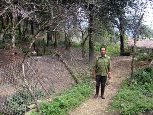 Thị trường - Tiêu dùng - Triệu phú tuổi 65 ở nơi "khỉ ho cò gáy" lên đời nhờ... làm nông