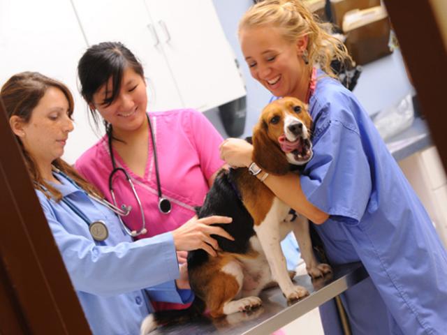 Giáo dục - du học - 12 ngành học không bao giờ lo thất nghiệp