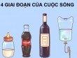 Đây là những điểm chung mà bất cứ người nào cũng phải trải qua