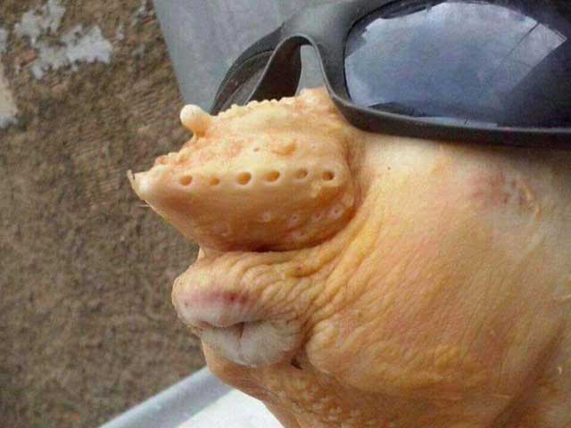 Đố vui - Đố kỳ cục: Người yêu em thèm hôn hả các bác?