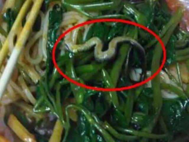 Phi thường - kỳ quặc - Hoảng hốt khi phát hiện "sợi mì" lạ trong bát là rắn
