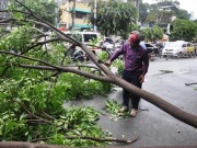 Tin tức trong ngày - Ông Tây lao xuống đường chặt nhánh cây, giải phóng kẹt xe