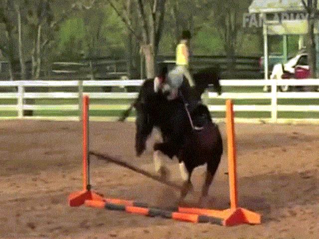 Video Clip Cười - Clip hài: Biết thế nào là "thượng mã..." chưa?