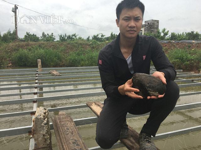 Thị trường - Tiêu dùng - Kỳ công nuôi "đàn ngậm miệng nhả ngọc", trai làng 9X thu tiền tỷ