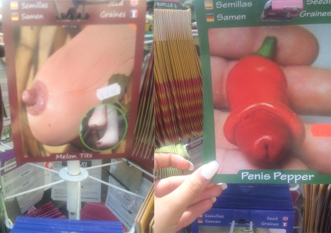 Phi thường - kỳ quặc - Người dân Tây Ban Nha đổ xô mua giống ớt hình "cậu nhỏ"