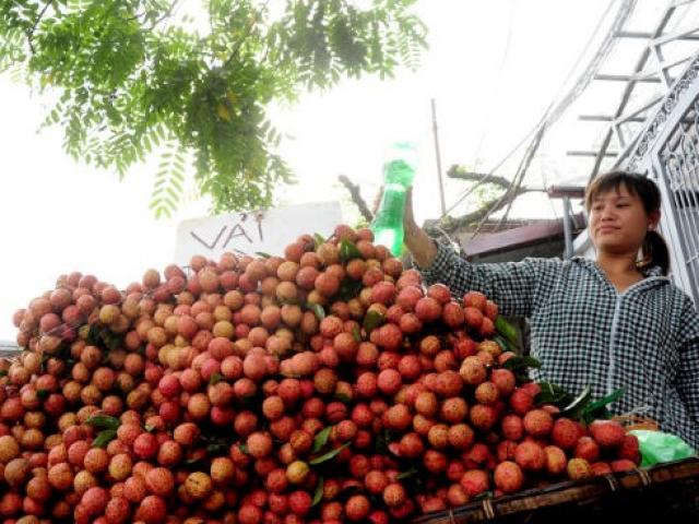 Thị trường - Tiêu dùng - "Không có chuyện vải thiều Lục Ngạn dội chợ, ế ẩm"