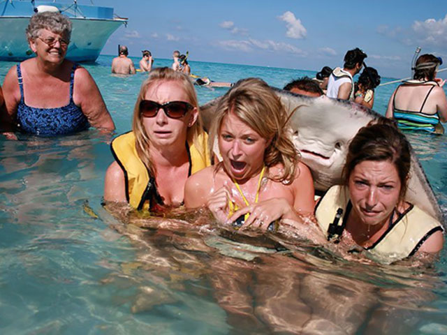 Cười 24h - Những hình ảnh khiến bạn phải "tỏa nhiệt"