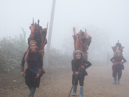 Tin tức trong ngày - Sa Pa chuyển rét 12,6 độ C giữa mùa hè