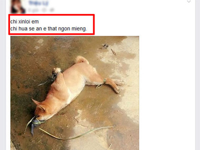 Giới trẻ - Sự thật sau câu chuyện cô giáo thịt chó mừng sinh nhật