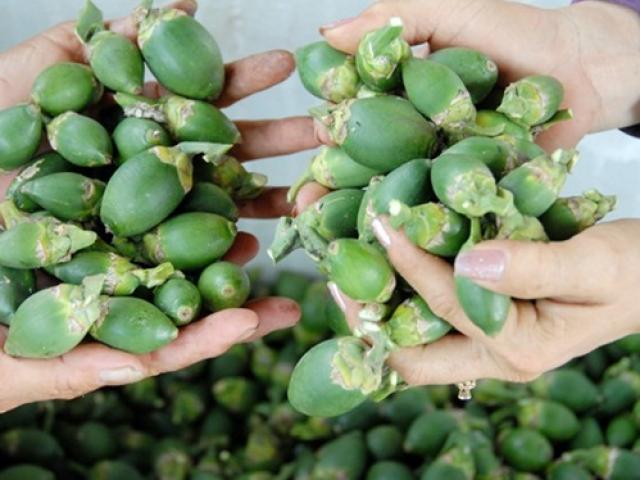 Đầu tư - Thương lái mua cau non bán sang TQ: Nông dân có lợi gì?