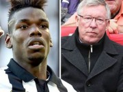 Bóng đá - Vụ Pogba: Sir Alex vào cuộc, Barca hưởng lợi