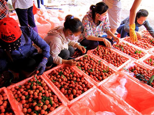 Thị trường - Tiêu dùng - Xây khu trung chuyển xuất khẩu sang Trung Quốc