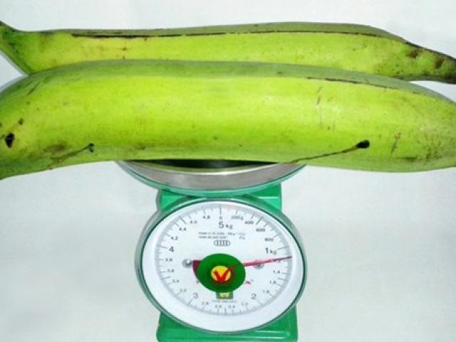 Thị trường - Tiêu dùng - Giống chuối khổng lồ gây sốc ở Trà Vinh