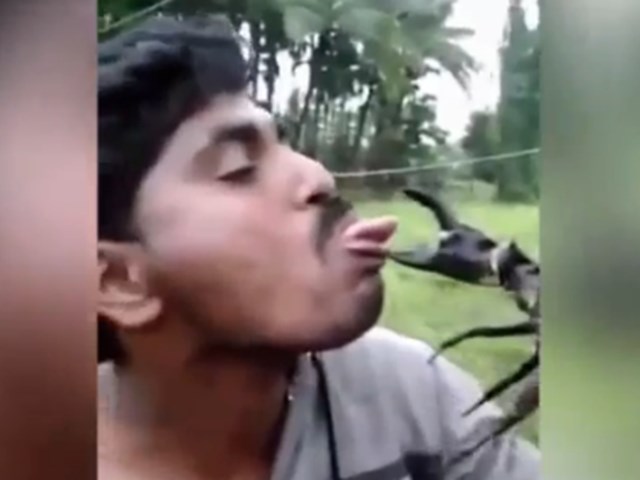 Phi thường - kỳ quặc - Video: "Khóc thét" với anh chàng để càng cua kẹp vào lưỡi