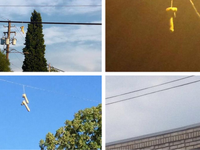 Thế giới - Hàng trăm "sex toy" bất ngờ "phơi mình" trên dây điện