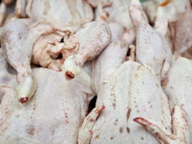 “Thịt gà Mỹ giá dưới 20.000 đồng/kg là rất bất thường”