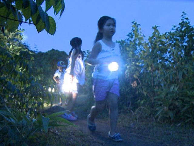 Phim - Các con nháo nhào vào rừng tìm bố trong "Bố ơi mình đi đâu thế"