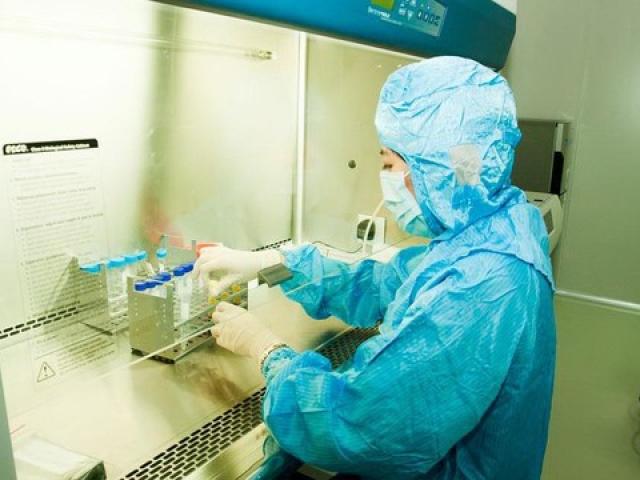 Sức khỏe đời sống - Sức mạnh liệu pháp tế bào gốc