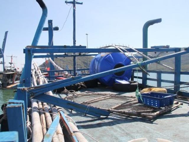 Tin tức trong ngày - Tàu cá Bình Định bị tàu vũ trang Trung Quốc tấn công