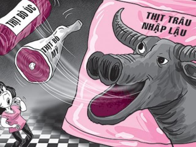 Thị trường - Tiêu dùng - Nhập thịt trâu Ấn Độ giá rẻ về để "biến" thành thịt bò